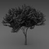 室外植物-动植物-植物-VR/AR模型-3D城