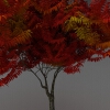 室外植物-动植物-植物-VR/AR模型-3D城