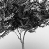 室外植物-动植物-植物-VR/AR模型-3D城
