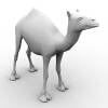 动物-动植物-哺乳动物-VR/AR模型-3D城