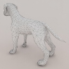 狗狗-动植物-哺乳动物-VR/AR模型-3D城