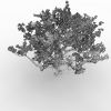 树-动植物-植物-VR/AR模型-3D城