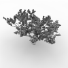 树-动植物-植物-VR/AR模型-3D城