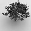树-动植物-植物-VR/AR模型-3D城