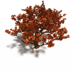 树-动植物-植物-VR/AR模型-3D城