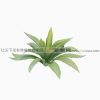 2010828135156312-动植物-花草-VR/AR模型-3D城