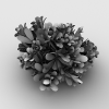花-动植物-花草-VR/AR模型-3D城