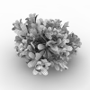 花-动植物-花草-VR/AR模型-3D城