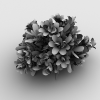 花-动植物-花草-VR/AR模型-3D城