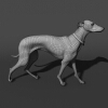 杜宾犬-动植物-哺乳动物-VR/AR模型-3D城