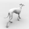 杜宾犬-动植物-哺乳动物-VR/AR模型-3D城