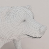 野熊-动植物-哺乳动物-VR/AR模型-3D城
