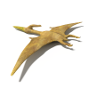 翼龙-动植物-古生物-VR/AR模型-3D城