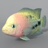 鱼-动植物-鱼类-VR/AR模型-3D城