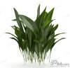s182426-动植物-花草-VR/AR模型-3D城