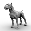 Pitbull-动植物-哺乳动物-VR/AR模型-3D城