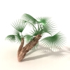 室外植物 -动植物-植物-VR/AR模型-3D城