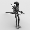 异性雄蜂-角色人体-角色-VR/AR模型-3D城