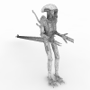 异性雄蜂-角色人体-角色-VR/AR模型-3D城