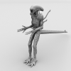 异性雄蜂-角色人体-角色-VR/AR模型-3D城