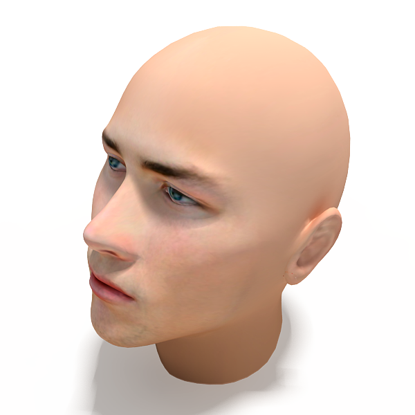 3dcity 专业的vr模型下载与分享平台男人 角色人体 医学解剖 Vr Ar模型 3d城