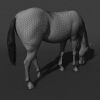 白马-动植物-哺乳动物-VR/AR模型-3D城