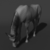 白马-动植物-哺乳动物-VR/AR模型-3D城