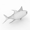 鱼-动植物-鱼类-VR/AR模型-3D城