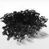 紫菀-动植物-花草-VR/AR模型-3D城