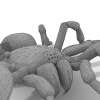 蜘蛛-动植物-其它-VR/AR模型-3D城