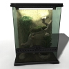 鬃狮蜥-动植物-鱼类-VR/AR模型-3D城