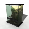 鬃狮蜥-动植物-鱼类-VR/AR模型-3D城