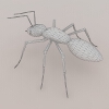  黑蚂蚁-动植物-昆虫-VR/AR模型-3D城
