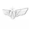 空军军徽-VR/AR模型-3D城