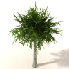 室外植物 -动植物-植物-VR/AR模型-3D城