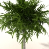 室外植物 -动植物-植物-VR/AR模型-3D城