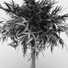 室外植物 -动植物-植物-VR/AR模型-3D城