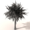 室外植物 -动植物-植物-VR/AR模型-3D城