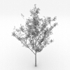 室外植物-动植物-植物-VR/AR模型-3D城