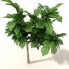 室外植物-动植物-植物-VR/AR模型-3D城