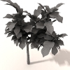室外植物-动植物-植物-VR/AR模型-3D城