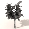室外植物-动植物-植物-VR/AR模型-3D城