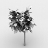 室外植物-动植物-植物-VR/AR模型-3D城