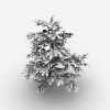 芙蓉树-动植物-植物-VR/AR模型-3D城
