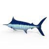 鲨鱼-动植物-鱼类-VR/AR模型-3D城