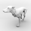 杜宾犬-动植物-哺乳动物-VR/AR模型-3D城