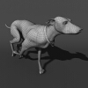 杜宾犬-动植物-哺乳动物-VR/AR模型-3D城