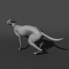 杜宾犬-动植物-哺乳动物-VR/AR模型-3D城