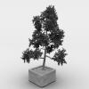 盆景-动植物-盆栽-VR/AR模型-3D城