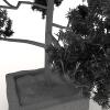 盆景-动植物-盆栽-VR/AR模型-3D城